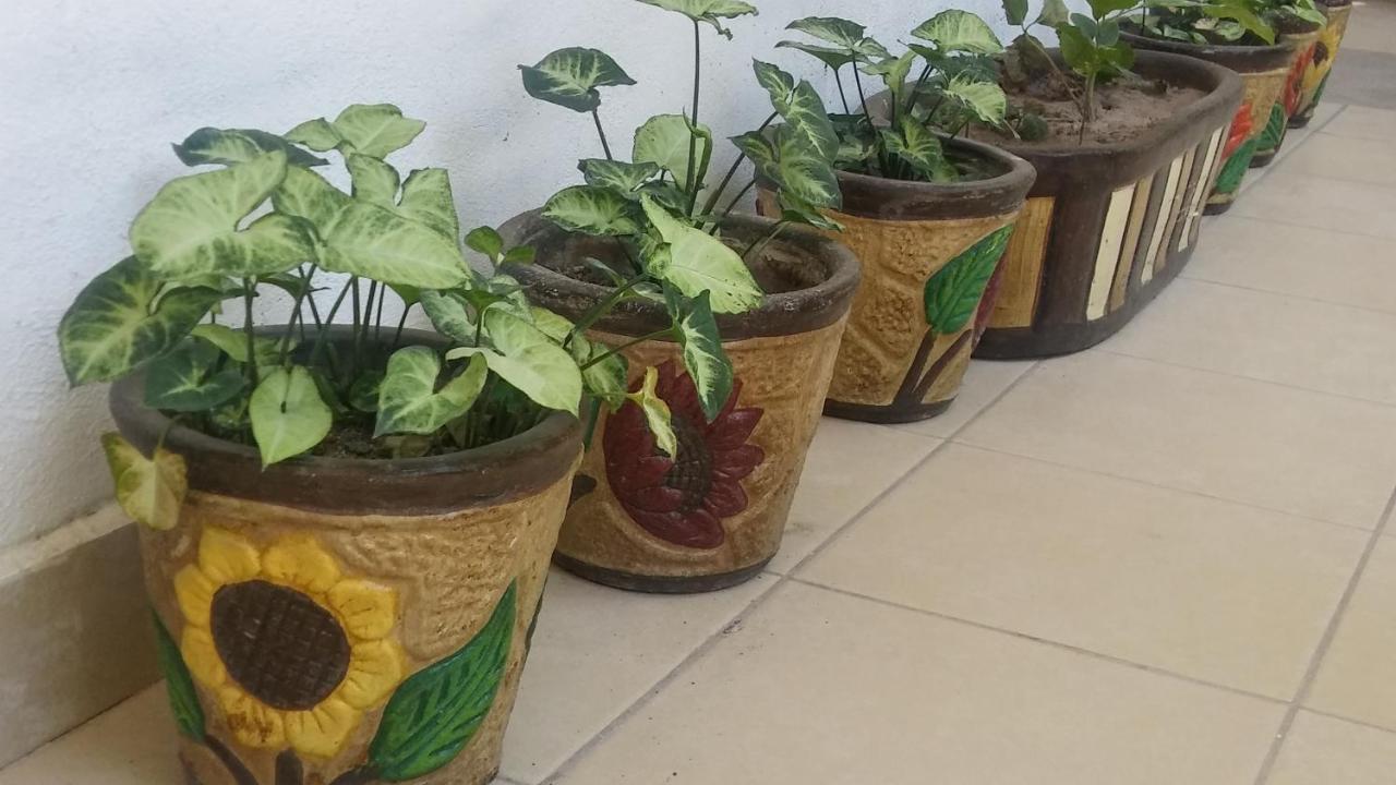 Hospedaje Parras 파라스 데 라 푸엔테 외부 사진